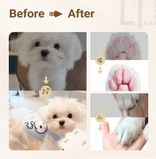 4-in-1 Electric Pet Grooming Kit Clippers with 4 Interchangeable Blades